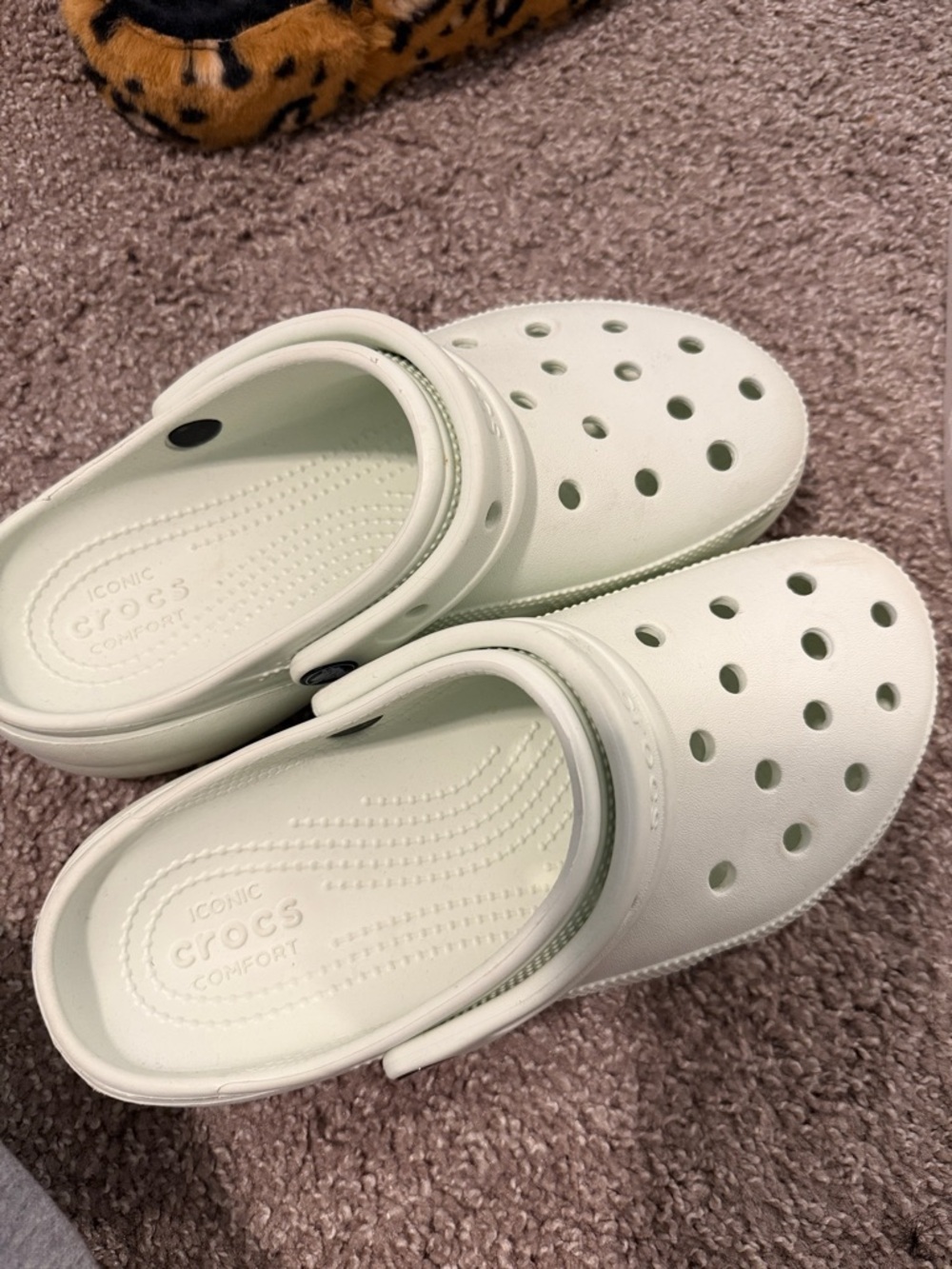 CROCS WOMEN PLATFORM Classic Clog in Light Mint Green